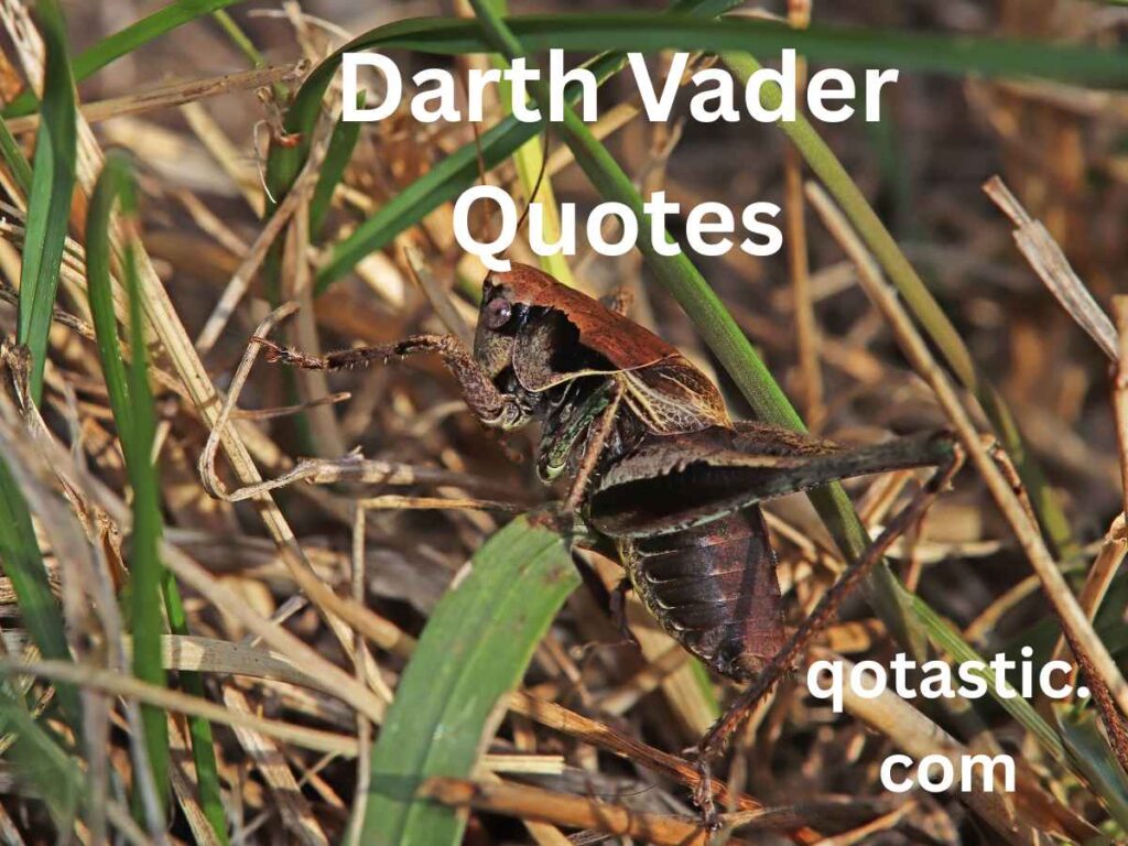 Darth Vader Quotes