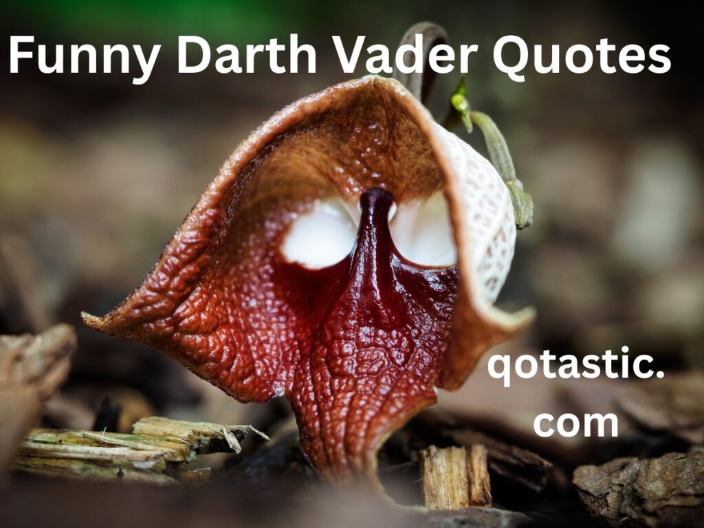 Funny Darth Vader Quotes