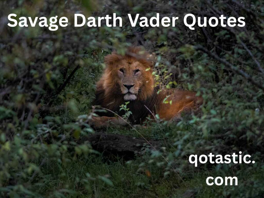 Savage Darth Vader Quotes